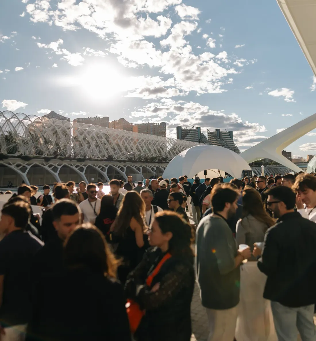 FBD crowd at the City of Arts and Sciences