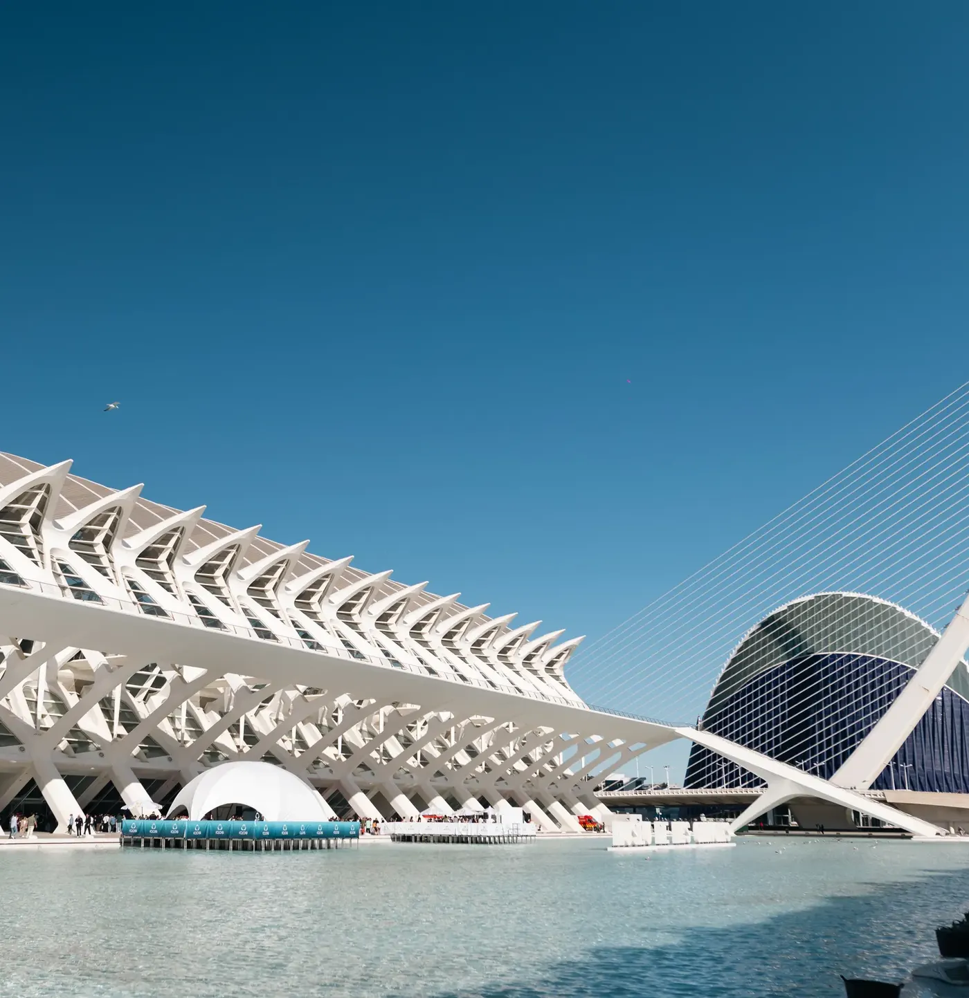 Partner dome on the water at the City of Arts and Sciences during FBD26