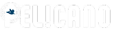 8-Pelicano